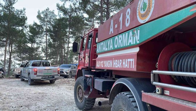Alanya’da Orman Yangınında 5 Dönüm Alan Zarar Gördü