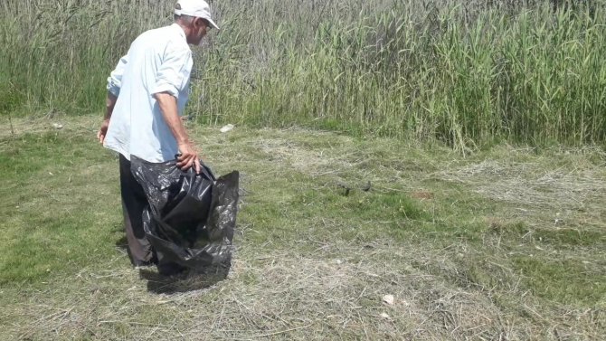 Sahile Yakın Bölgedeki Yılan Kurtarılıp Doğaya Bırakıldı