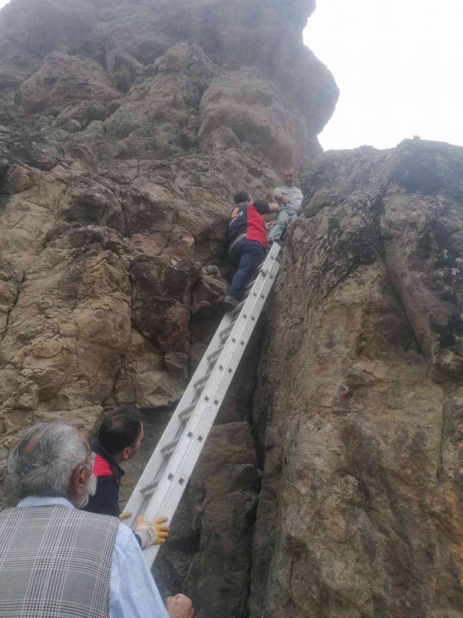 Kayalıklarda Mahsur Kalan Keçiler İtfaiye Ekipleri Tarafından Kurtardı