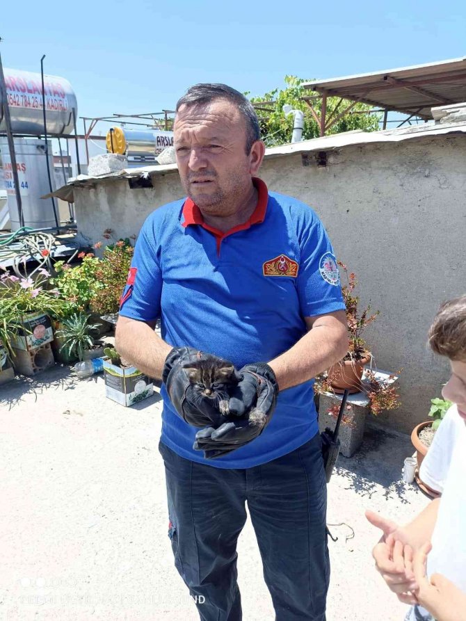 Havalandırma Boşluğunda Mahsur Kalan Kediyi İtfaiye Kurtardı