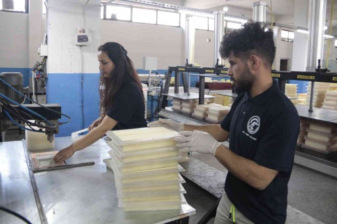 Bitlis’ten Yurtdışına Yerli Filtre İhracatı