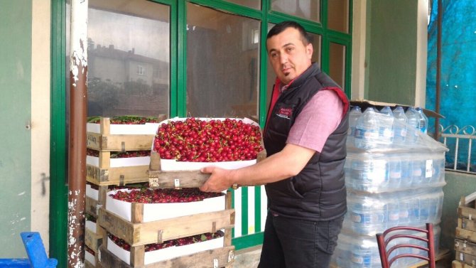 Bursa’da Kiraz Hasadı Başladı