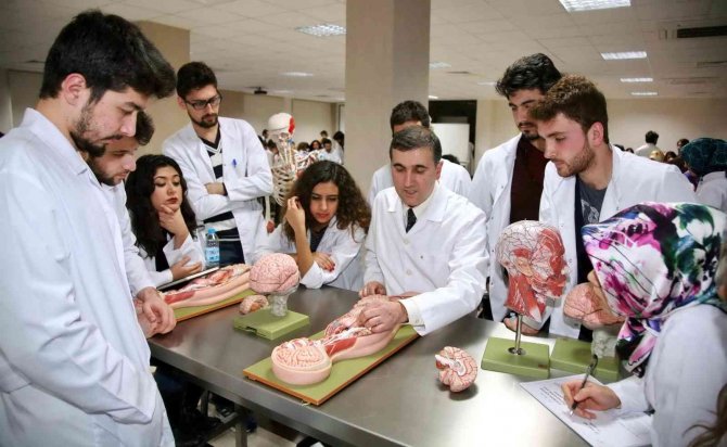 Gaün Ti̇ka İle Yurt Dışına Açılıyor