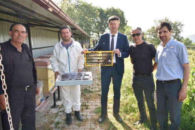 Büyükşehir’inin Ana Arıları Yeni Evlerine Uçtu