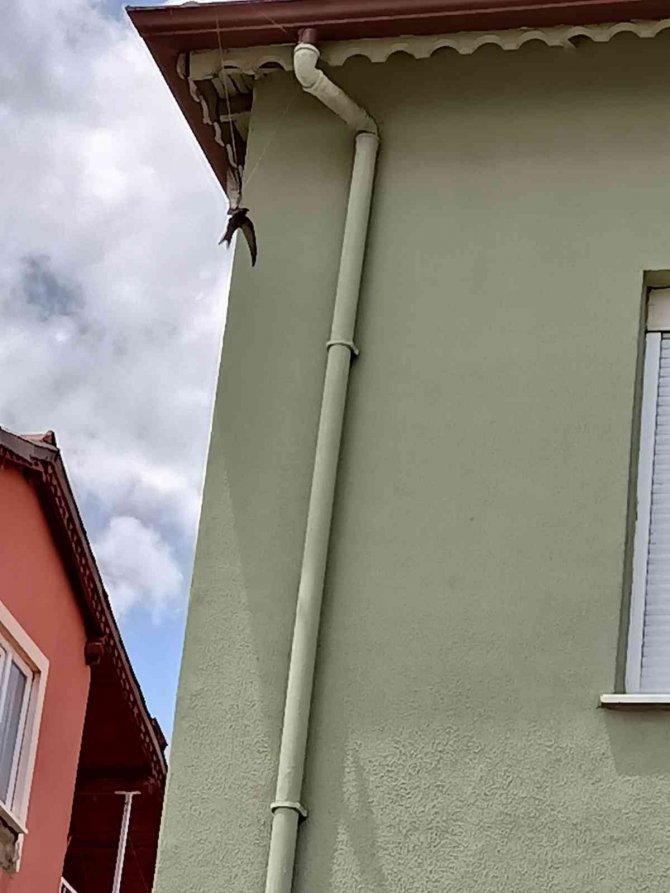 İ̇pte Asılı Kalan Ebabil Kurtarıldı