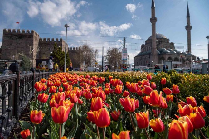 Kayseri’de 1 Milyon Çiçek Toprakla Buluşacak