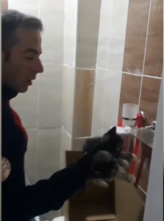 Mahsur Kalan Yavru Kediler Kurtarıldı