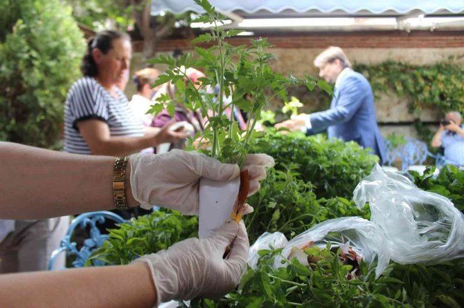 Kırklareli’nde Ata Tohumdan Üretilen Fideler Dağıtıldı