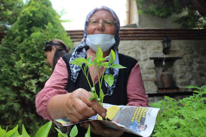 Kırklareli’nde Ata Tohumdan Üretilen Fideler Dağıtıldı