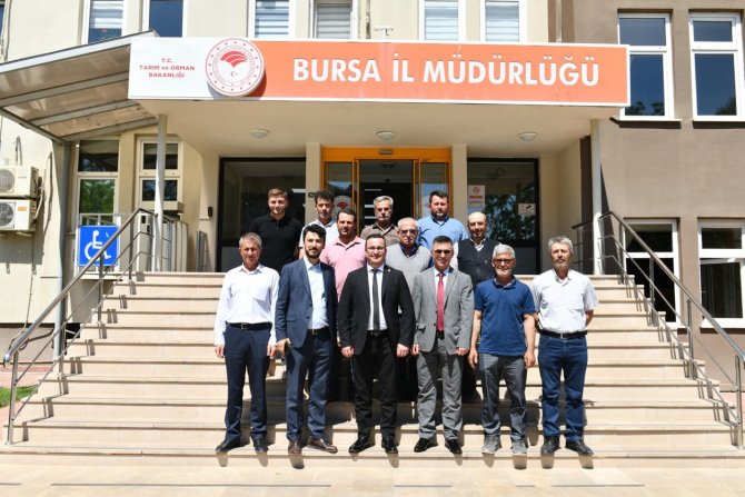 Bursa Tarımında Aslan Payı Mustafakemalpaşalı Çiftçilerin