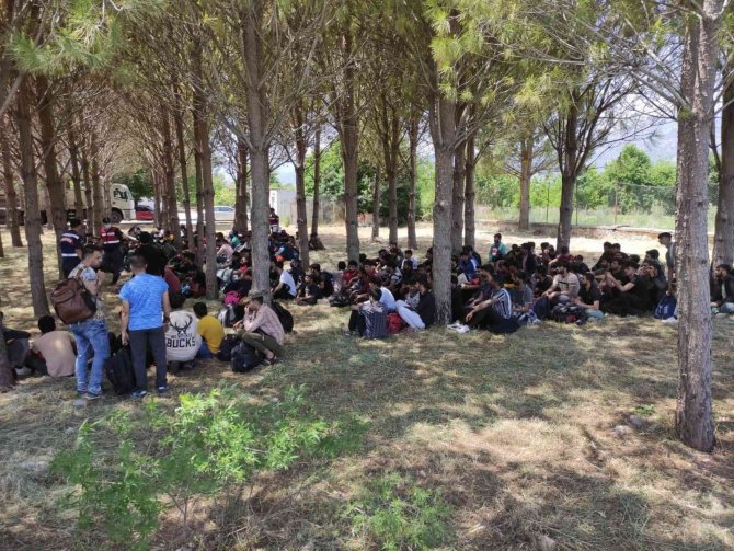 Muğla’da 237 Düzensiz Göçmen Yakalandı