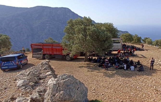 Muğla’da 237 Düzensiz Göçmen Yakalandı