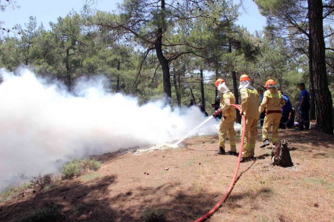 Muğla’da Orman Yangını Tatbikatı
