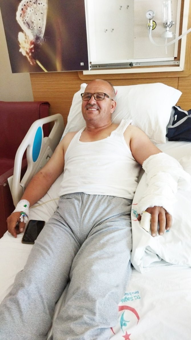 Bursa’da Bir Adam Elini Sokan Yılanla Hastaneye Koştu