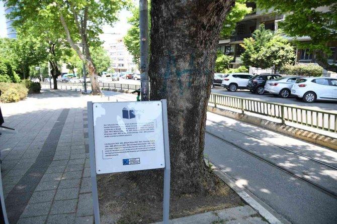 Moda Sokaklarında Bilim Tarihi