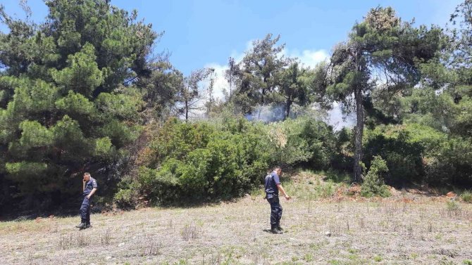Osmaniye’de Orman Yangını