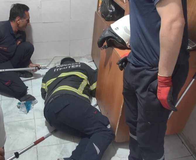 Kahvehaneye Giren Kirpiyi İtfaiye Ekipleri Çıkardı