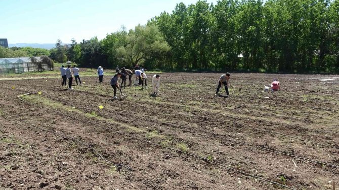 Kapıdaki Gıda Krizi İçin Çözüm Üretimden Geçiyor’