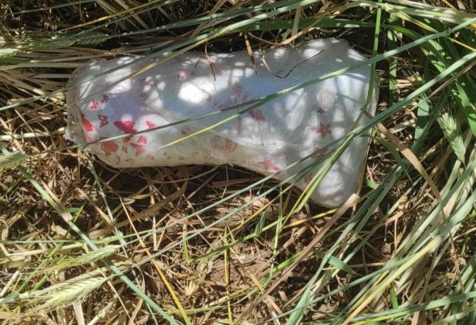 Sınırda Rus Menşeili Suikast Silahı Ve Mühimmat Ele Geçirildi