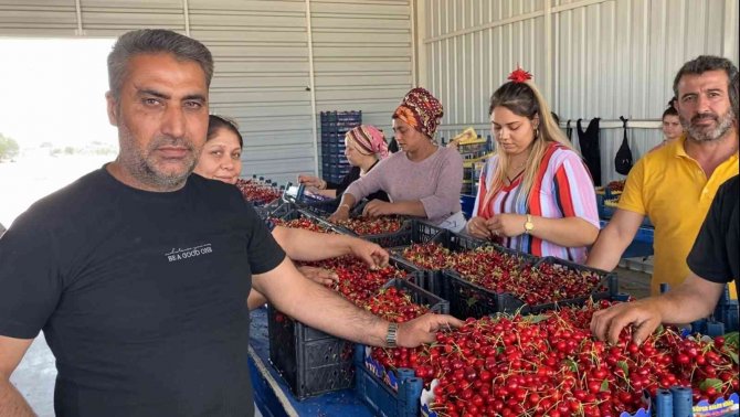 Sancaklıbozköy Kiraz Pazarı Yüz Güldürüyor