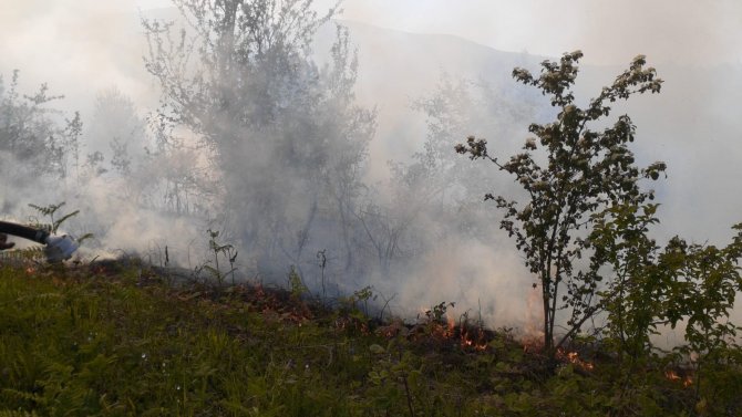 Sinop’ta Orman Yangını