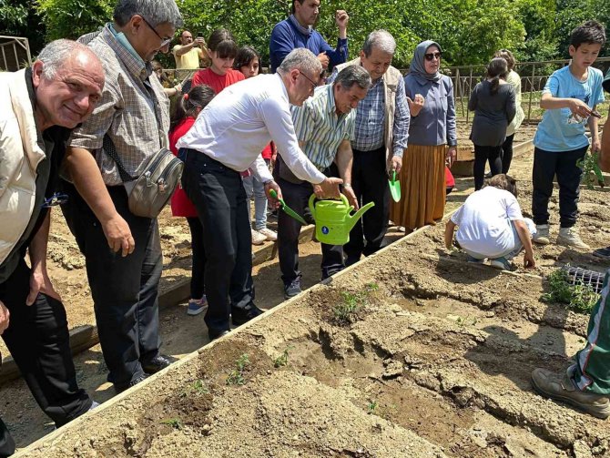 Üsküdar’da Fideler Toprakla Buluştu, Ortaya Renkli Görüntüler Çıktı