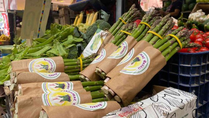 Dış Görünüşü İle İlgi Çekiyor, Hamilelerin İlgi Odağı