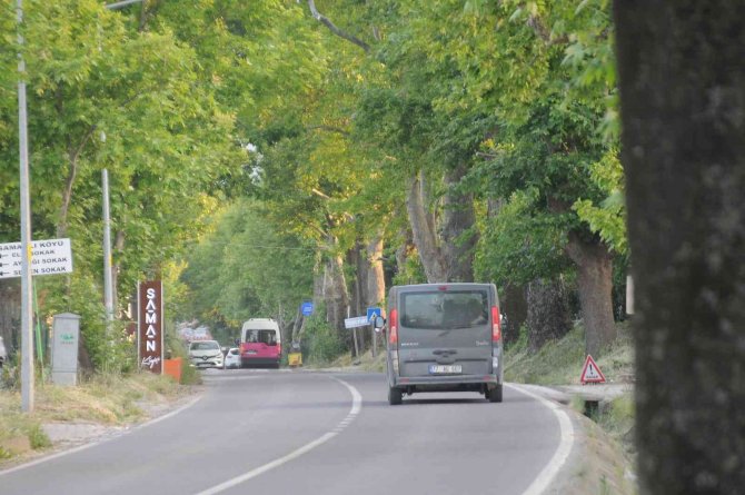 Ata Yadigarı Doğal Yeşil Tünelde Keyifli Yolculuk