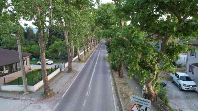 Ata Yadigarı Doğal Yeşil Tünelde Keyifli Yolculuk