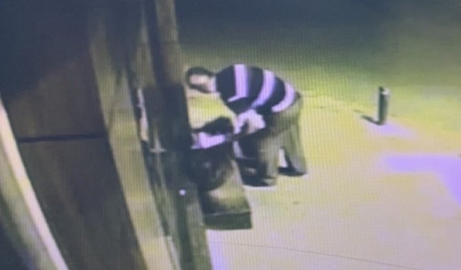 Tadına Baktığı Çileği Beğenince Kasasıyla Birlikte Çaldı: O Anlar Kamerada