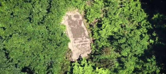 Uyuşturucu Operasyonu Dronla Havadan Görüntülendi