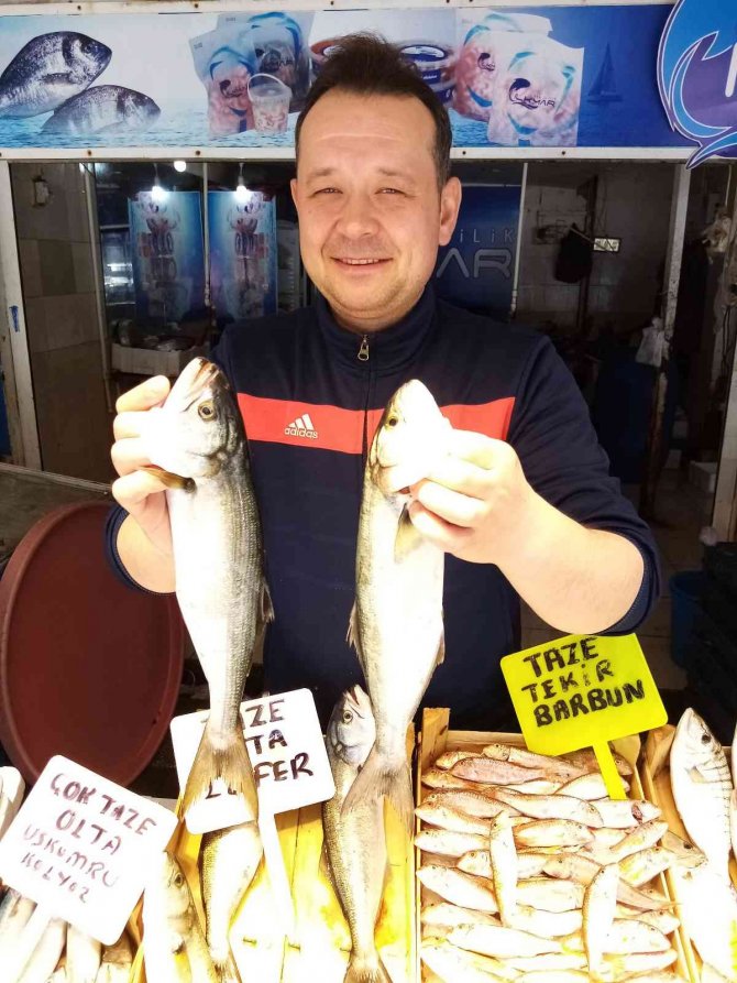 Olta Lüferi Balıkçıların Yüzünü Güldürüyor