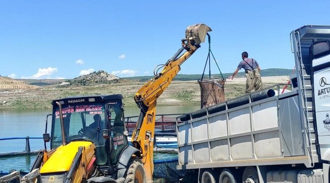 Bozkırın Ortasında Yozgat’ta Üretiliyor, Denizli’de İşlenip Uzak Doğu Ve Avrupa Ülkelerine İhraç Ediliyor