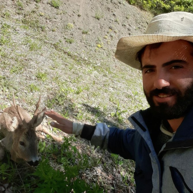 Mantar Toplamak İçin Gittiği Arazide Yaralı Karaca Yavrusu Buldu
