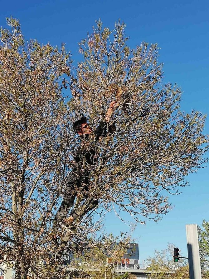 Erzurum’da Kedi Kurtarma Operasyonu