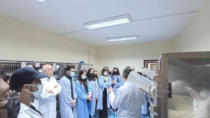 Nevü Moleküler Biyoloji Ve Genetik Kulübü, Bilimsel Gezi Düzenledi