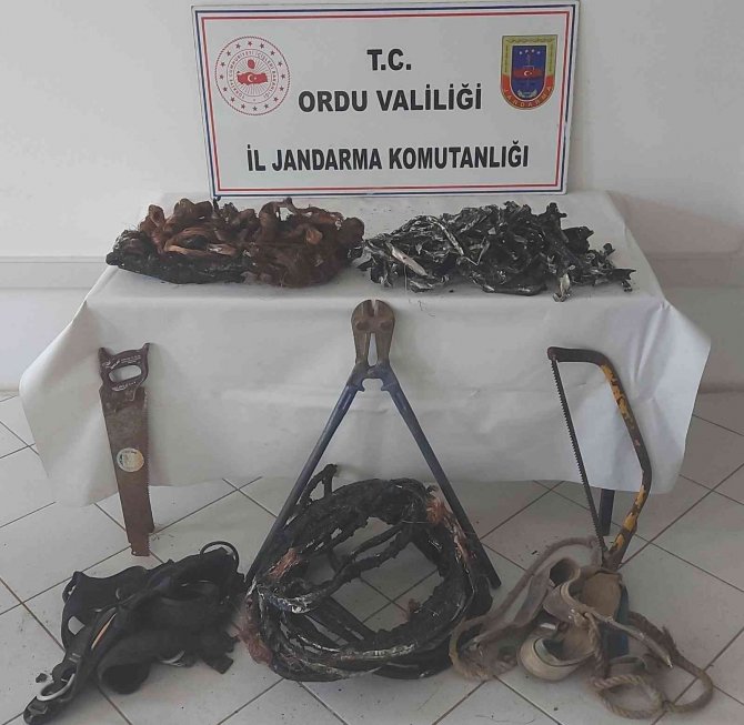 Ordu’da Faili Meçhul Kablo Hırsızlığını Jandarma Aydınlattı