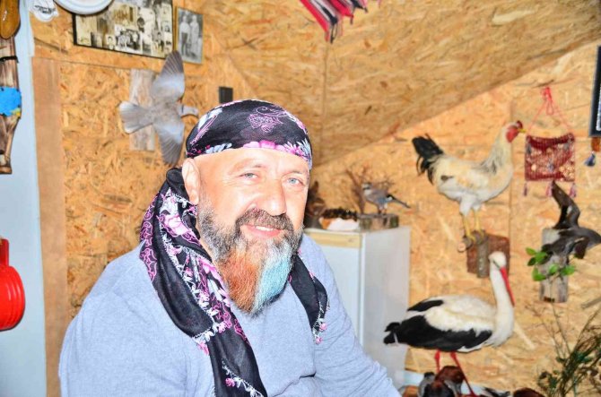 Telef Olan Hayvanlar Sanat Eserine Dönüşüyor