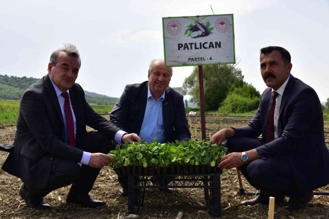Sebze Yetiştiriciliği Kursu’nda Fide Ve Tohumlar Toprakla Buluştu