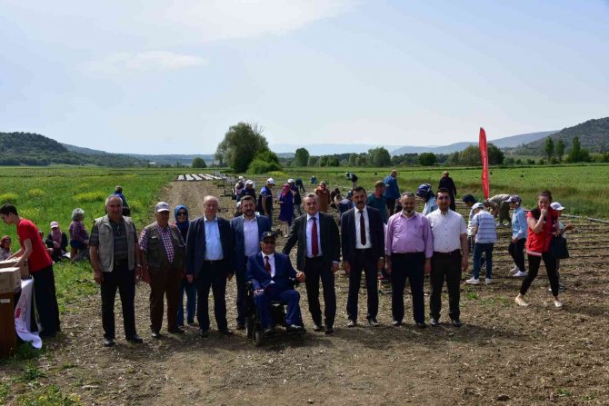 Sebze Yetiştiriciliği Kursu’nda Fide Ve Tohumlar Toprakla Buluştu