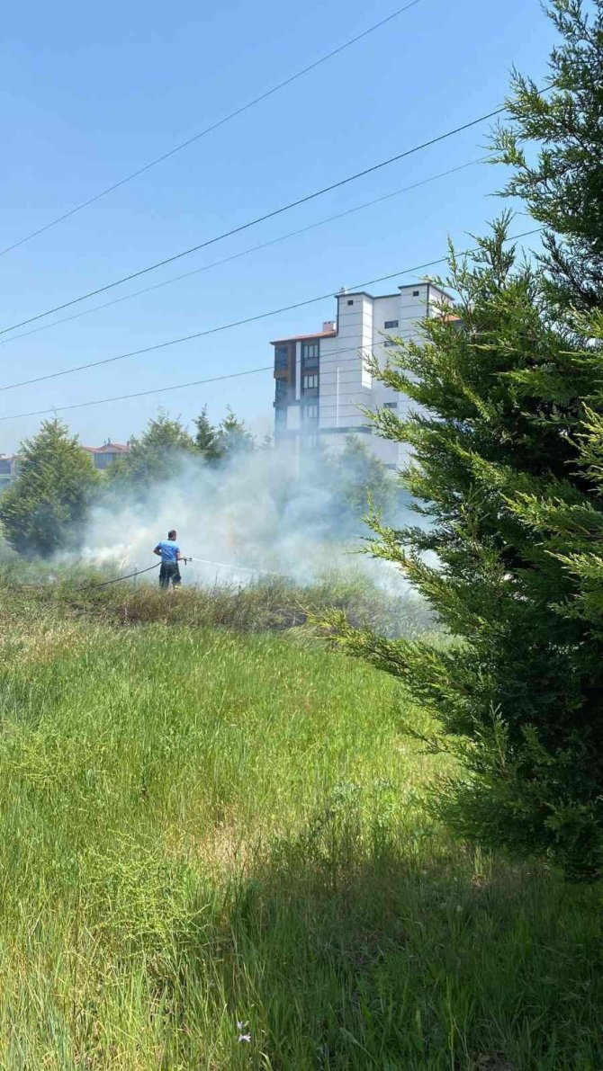 Kuru Otları Tutuşturunca Anız Yangını Çıktı