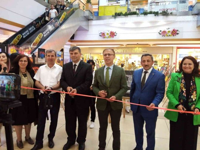 Spor Lisesi Öğrencilerinden ‘Renklerin Dansı’ Sergisi