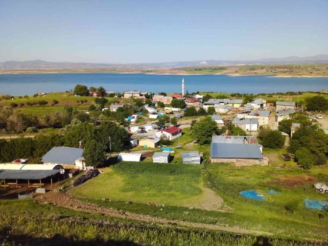 Yeşilin Mavi İle Buluştuğu Köy: Uzungöl