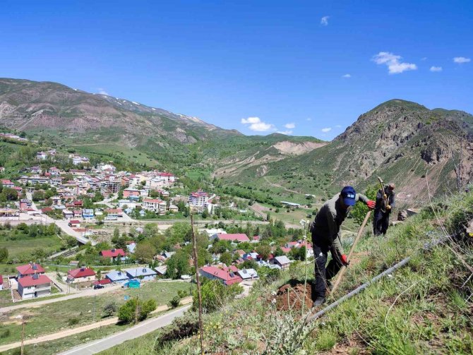 Tunceli’de Meyve Fidanları Toprakla Buluştu