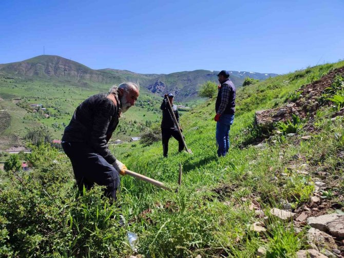 Tunceli’de Meyve Fidanları Toprakla Buluştu