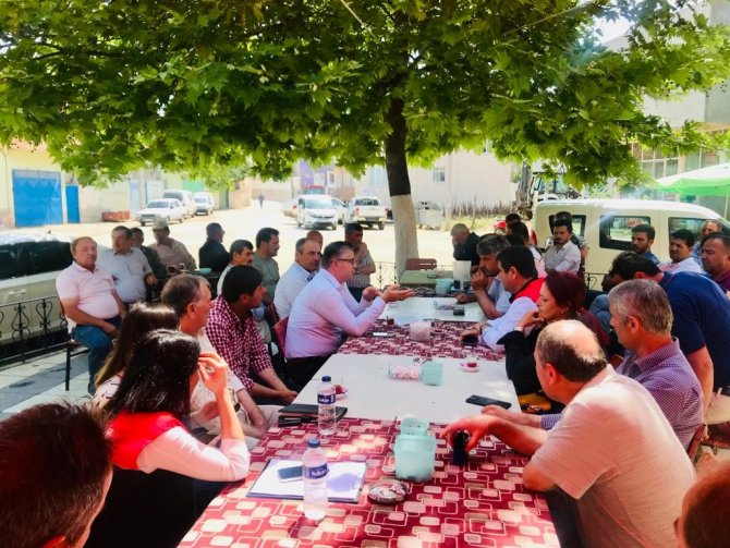 Ceviz Fidanları Bir Çok Ülkeye İhrac Ediliyor