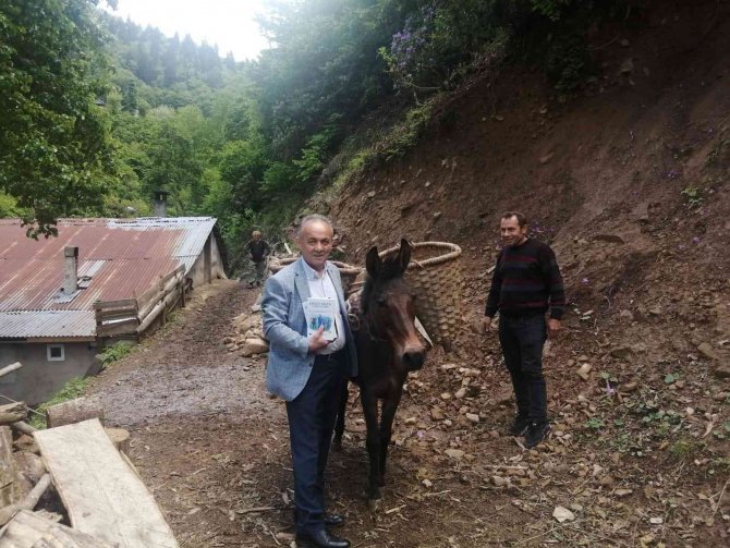 Türkiye’nin ’Eşekli Dostoyevski’si Karadeniz’de