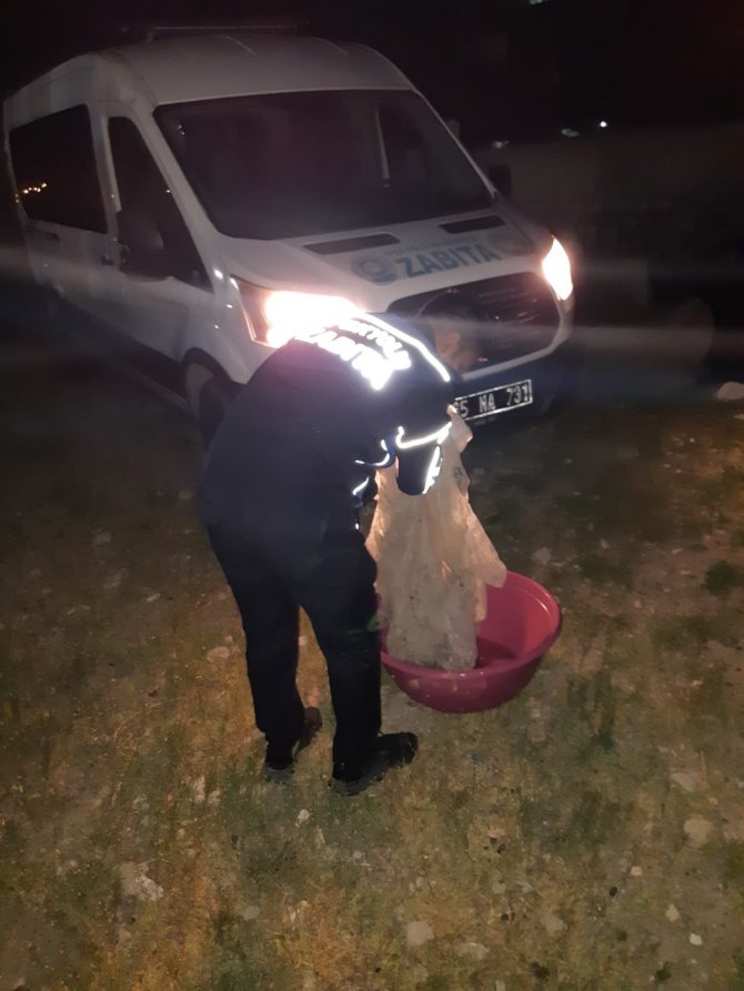 Van’da Kaçak Balık Avlayanlara Yönelik Denetimler Sürüyor