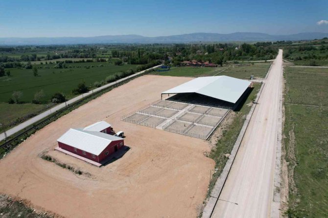 Suluova’da Yeni Hayvan Pazarı Hizmette