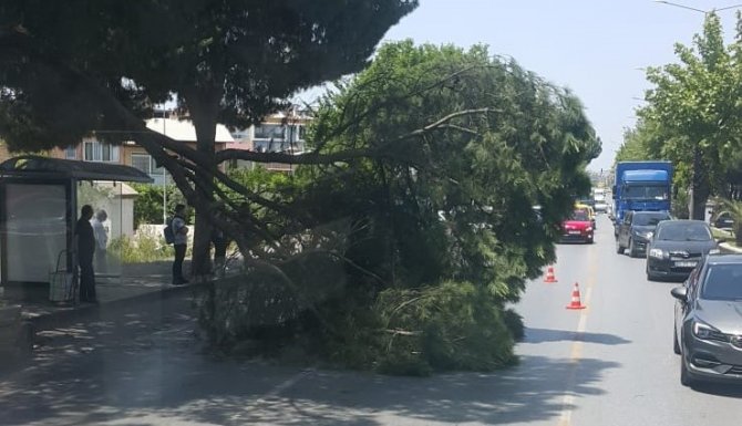 Aydın’da Faciadan Dönüldü
